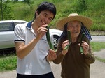 おいしいきゅうりが収穫できました
